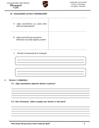 CIENCIA Y TECNOLOGIA 2. SEXTO DE PRIMARIA EDUCACION - TRUJILLO | PDF