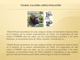 TOUMAI CALAVERA (2002) EVOLUCIÓN
Michel Brunet desentierra los más antiguos fósiles de homínidos hasta la fecha
en el desierto de la nación centroafricana de Chad. Los fragmentos de este
cráneo 6-7000000 años de edad, con los características parecidas a los seres
humanos, se encuentran fuera de África oriental y meridional, lo...
Michel Brunet desentierra los más antiguos fósiles de homínidos hasta la fecha
en el desierto de la nación centroafricana de Chad. Los fragmentos de este
cráneo 6-7000000 años de edad, con los características parecidas a los seres
humanos, se encuentran fuera de África oriental y meridional, lo que sugiere
que la evolución humana pudo haber tenido lugar en todo el continente.
 