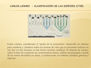 CARLOS LINNEO - CLASIFICACIÓN DE LAS ESPECIES (1735)
Carlos Linneo, considerado el "padre de la taxonomía", desarrolló un sistema
para nombrar y clasificar todas las formas de vida que se encuentra todavía en
uso hoy en día (aunque se han hecho muchos cambios). El sistema de Linneo,
sobre la base de compartir las características físicas, utiliza una jerarquía a partir
de los reinos divididos en clases, a continuación, en órdenes, familias, géneros y
especies.
 