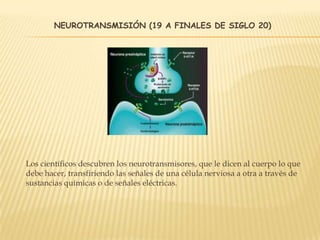NEUROTRANSMISIÓN (19 A FINALES DE SIGLO 20)
Los científicos descubren los neurotransmisores, que le dicen al cuerpo lo que
debe hacer, transfiriendo las señales de una célula nerviosa a otra a través de
sustancias químicas o de señales eléctricas.
 