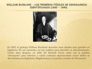 WILLIAM BUCKLAND - LOS PRIMEROS FÓSILES DE DINOSAURIOS
IDENTIFICADOS (1820 - 1840)
En 1822, el geólogo William Buckland descubre unos dientes muy grandes en
Inglaterra. En ese momento, no hay palabra para describir su descubrimiento.
Veinte años después, en 1842, Sir Richard Owen viene con la palabra
"dinosaurio" para referirse a varias criaturas espectaculares cuyos fósiles se
descubrieron en Inglaterra. Megalosaurus es el primer nombre de dinosaurio.
 