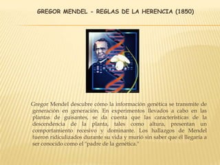 GREGOR MENDEL - REGLAS DE LA HERENCIA (1850)
Gregor Mendel descubre cómo la información genética se transmite de
generación en generación. En experimentos llevados a cabo en las
plantas de guisantes, se da cuenta que las características de la
descendencia de la planta, tales como altura, presentan un
comportamiento recesivo y dominante. Los hallazgos de Mendel
fueron ridiculizados durante su vida y murió sin saber que él llegaría a
ser conocido como el "padre de la genética."
 
