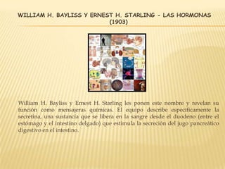 WILLIAM H. BAYLISS Y ERNEST H. STARLING - LAS HORMONAS
(1903)
William H. Bayliss y Ernest H. Starling les ponen este nombre y revelan su
función como mensajeras químicas. El equipo describe específicamente la
secretina, una sustancia que se libera en la sangre desde el duodeno (entre el
estómago y el intestino delgado) que estimula la secreción del jugo pancreático
digestivo en el intestino.
 