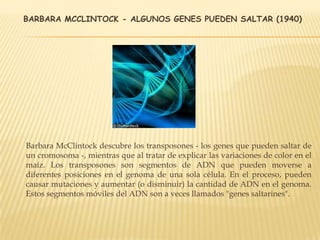BARBARA MCCLINTOCK - ALGUNOS GENES PUEDEN SALTAR (1940)
Barbara McClintock descubre los transposones - los genes que pueden saltar de
un cromosoma -, mientras que al tratar de explicar las variaciones de color en el
maíz. Los transposones son segmentos de ADN que pueden moverse a
diferentes posiciones en el genoma de una sola célula. En el proceso, pueden
causar mutaciones y aumentar (o disminuir) la cantidad de ADN en el genoma.
Estos segmentos móviles del ADN son a veces llamados "genes saltarines".
 