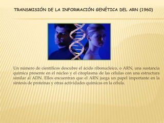 TRANSMISIÓN DE LA INFORMACIÓN GENÉTICA DEL ARN (1960)
Un número de científicos descubre el ácido ribonucleico, o ARN, una sustancia
química presente en el núcleo y el citoplasma de las células con una estructura
similar al ADN. Ellos encuentran que el ARN juega un papel importante en la
síntesis de proteínas y otras actividades químicas en la célula.
 