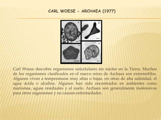 CARL WOESE - ARCHAEA (1977)
Carl Woese descubre organismos unicelulares sin núcleo en la Tierra. Muchos
de los organismos clasificados en el nuevo reino de Archaea son extremófilos.
Algunos viven a temperaturas muy altas o bajas, en otras de alta salinidad, el
agua ácida o alcalina. Algunos han sido encontrados en ambientes como
marismas, aguas residuales y el suelo. Archaea son generalmente inofensivos
para otros organismos y no causan enfermedades.
 