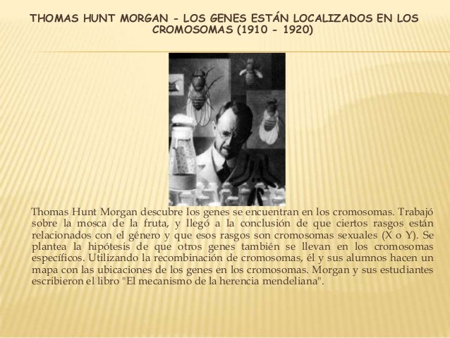 100 cientificos y sus aportaciones