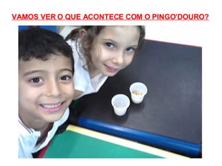 VAMOS VER O QUE ACONTECE COM O PINGO’DOURO? 