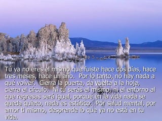 Tú ya no eres el mismo que fuiste hace dos días, hace tres meses, hace un año.  Por lo tanto, no hay nada a qué volver.  Cierra la puerta, da vuelta a la hoja, cierra el círculo.  Ni tú serás el mismo, ni el entorno al que regresas será igual, porque en la vida nada se queda quieto, nada es estático.  Por salud mental, por amor ti mismo, desprende lo que ya no está en tu vida.  