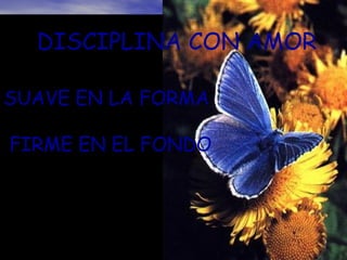 DISCIPLINA CON AMOR SUAVE EN LA FORMA FIRME EN EL FONDO 