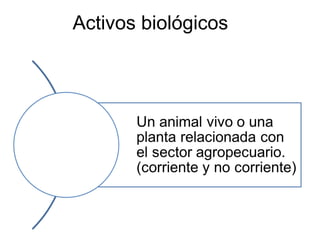 Activos biológicos
 