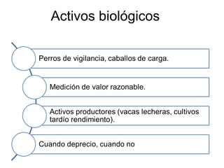 Activos biológicos
 