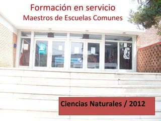 Formación en servicio
Maestros de Escuelas Comunes




          Ciencias Naturales / 2012
 