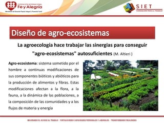 MEJORANDO EL ACCESO AL TRABAJO - FORTALECIENDO CAPACIDADES PERSONALES Y LABORALES - TRANSFORMANDO REALIDADES
Agro-ecosistema: sistema sometido por el
hombre a continuas modificaciones de
sus componentes bióticos y abióticos para
la producción de alimentos y fibras. Estas
modificaciones afectan a la flora, a la
fauna, a la dinámica de las poblaciones, a
la composición de las comunidades y a los
flujos de materia y energía
La agroecología hace trabajar las sinergias para conseguir
"agro-ecosistemas" autosuficientes (M. Altieri )
 