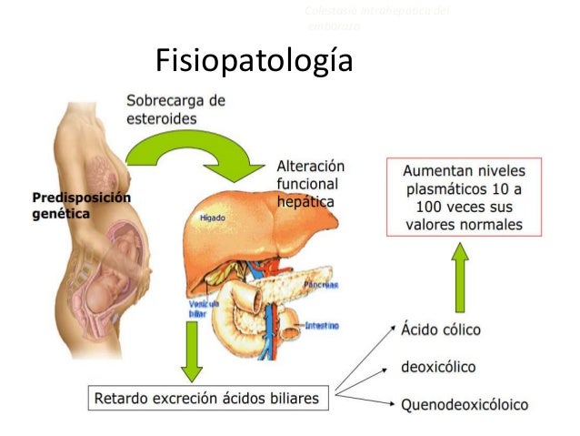 Cie Colestasia Intra Hepatica Chile 2014