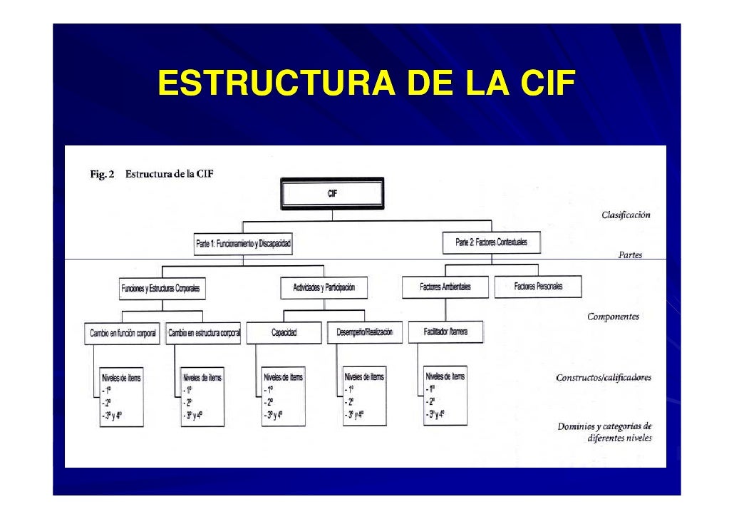 TÉCNICO EN EDUCACIÓN DIFERENCIAL : ¿ QUE ES LA CIF