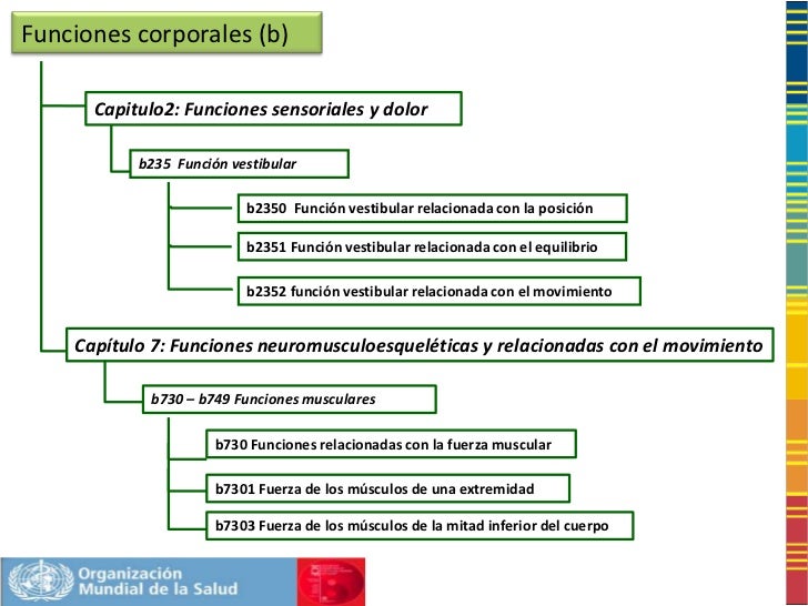 CLASIFICACION INTERNACIONAL DEL FUNCIONAMIENTO, LA DISCAPACIDAD Y DE