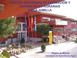 CENTRO INTEGRADO DE FORMACIÓN Y
     EXPERIENCIAS AGRARIAS
          CIFEA JUMILLA




                        Región de Murcia
                  Consejería de Agricultura y Agua
 