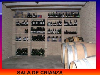 SALA DE CRIANZA
 
