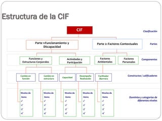 CIF ESTRUCTURA Y COMPONENTES 220720.pptx (2).pdf