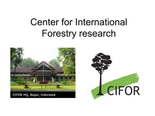 Center for International
Forestry research
 
