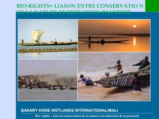 Bio- rights – Lier la conservation de la nature à la réduction de la pauvreté
BIO-RIGHTS= LIASON ENTRE CONSERVATIO N
DE LA NATURE ET REDUCTION PAUVRETE
BAKARY KONE WETLANDS INTERNATIONAL/MALI
 