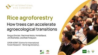 Rice agroforestry
How trees can accelerate
agroecological transitions
Fergus Sinclair, Rachmat Mulia, Himlal Baral,
Jim Roshetko, and Rob Finlayson
CIFOR-ICRAF (Centre for International
Forest Research - World Agroforestry),
 