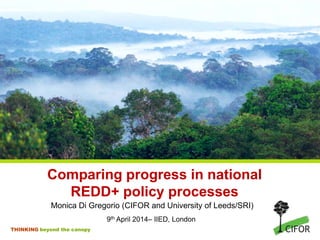 THINKING beyond the canopy
Comparing progress in national
REDD+ policy processes
Monica Di Gregorio (CIFOR and University of Leeds/SRI)
9th April 2014– IIED, London
 