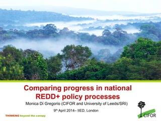 THINKING beyond the canopy
Comparing progress in national
REDD+ policy processes
Monica Di Gregorio (CIFOR and University ...