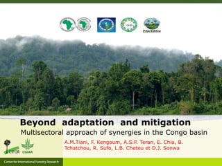 Beyond adaptation and mitigation
Multisectoral approach of synergies in the Congo basin
A.M.Tiani, F. Kengoum, A.S.P. Teran, E. Chia, B.
Tchatchou, R. Sufo, L.B. Cheteu et D.J. Sonwa

 