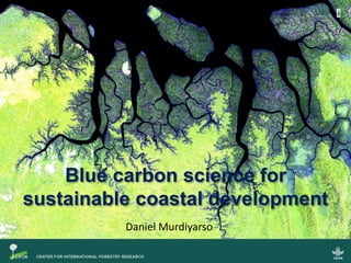 Blue carbon science for
sustainable coastal development
Daniel Murdiyarso
 