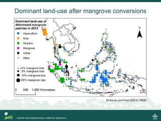 Blue carbon science for sustainable coastal development