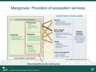 Blue carbon science for sustainable coastal development