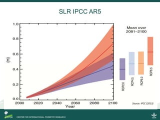 Blue carbon science for sustainable coastal development