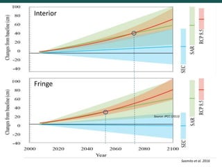 Blue carbon science for sustainable coastal development