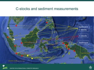 Blue carbon science for sustainable coastal development