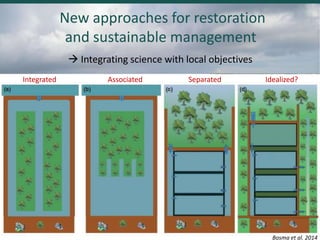 Blue carbon science for sustainable coastal development