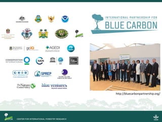 Blue carbon science for sustainable coastal development