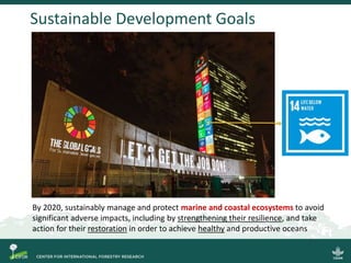 Blue carbon science for sustainable coastal development