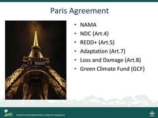 Blue carbon science for sustainable coastal development