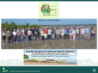 Blue carbon science for sustainable coastal development