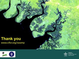 Blue carbon science for sustainable coastal development