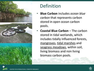 Blue carbon science for sustainable coastal development