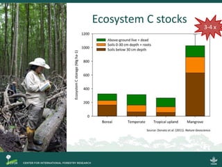 Blue carbon science for sustainable coastal development
