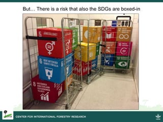 Forestry and landscapes: Solutions for sustainable development