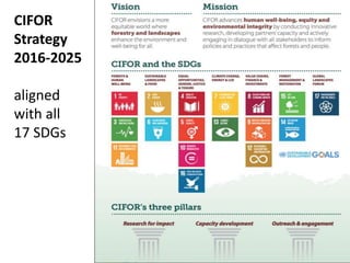 Forestry and landscapes: Solutions for sustainable development