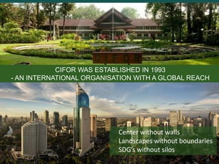 Forestry and landscapes: Solutions for sustainable development