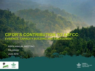 ASFN ANNUAL MEETING
PALAWAN
June 2016
CIFOR’S CONTRIBUTION TO ASFCC:
EVIDENCE, CAPACITY BUILDING AND ENGAGEMENT
 