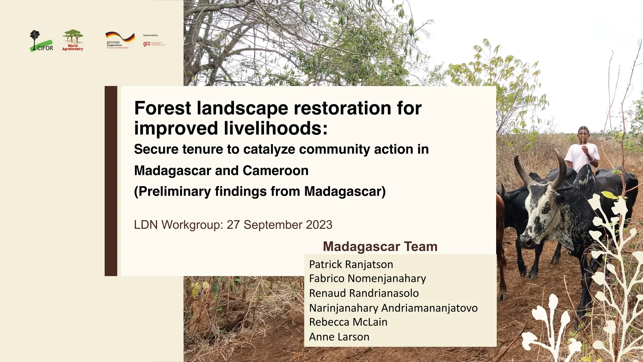 thumbnail of  Forest landscape restoration for improved livelihoods: Secure tenure to catalyze community action in Madagascar and Cameroon (Preliminary findings from Madagascar)