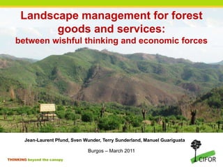 Landscape management for forest
goods and services:
between wishful thinking and economic forces

Jean-Laurent Pfund, Sven Wunder, Terry Sunderland, Manuel Guariguata

Burgos – March 2011
THINKING beyond the canopy

 